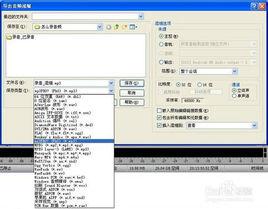 音頻錄製格式 音頻錄製格式