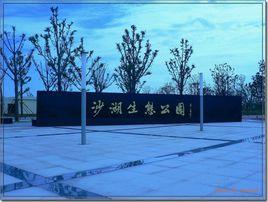 沙湖生態公園 沙湖生態公園