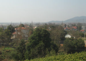 嶺上商周遺址 嶺上商周遺址