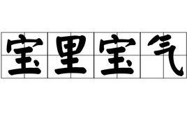 寶裡寶氣 寶裡寶氣