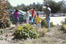 左右不逢源第五季 左右不逢源第五季