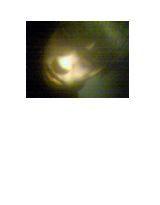 不做虧心事不怕鬼叫門 不做虧心事不怕鬼叫門