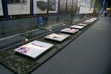 劉振[深圳市設計聯合會秘書長]