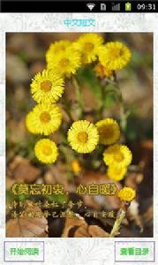 中文短文 中文短文