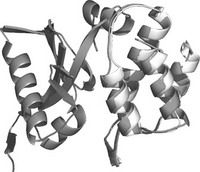 大腸桿菌素 大腸桿菌素