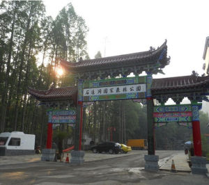 石蓮古寺 石蓮古寺