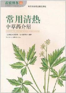 常用清熱中草藥介紹 常用清熱中草藥介紹