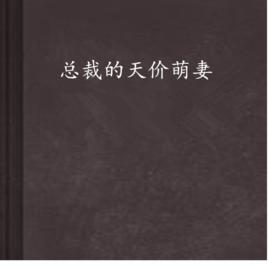 總裁的天價萌妻 總裁的天價萌妻