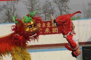 徐水北里獅舞