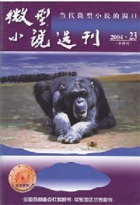 微形小說 微形小說