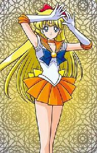 愛野美奈子 愛野美奈子