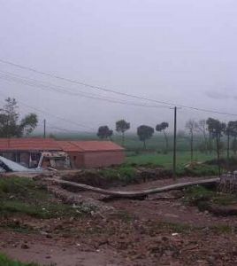 小牛群鎮 小牛群鎮