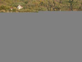 水泥硬化 水泥硬化