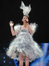 劉若英演唱會現場