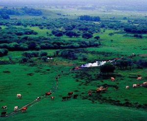 達拉哈旅遊區 達拉哈旅遊區