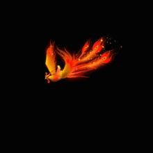 福克斯[《哈利·波特》角色]