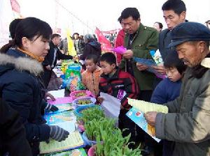 東彭莊村 東彭莊村