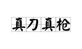 真刀真槍 真刀真槍