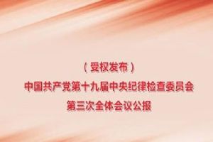 中國共產黨第十九屆中央紀律檢查委員會第三次全體會議