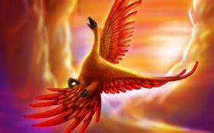 火鳳凰[神話傳說中的神鳥]