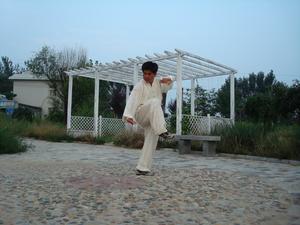 史式八卦掌游身掌 史式八卦掌游身掌