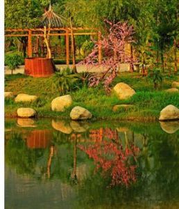 世外桃源空間 世外桃源空間