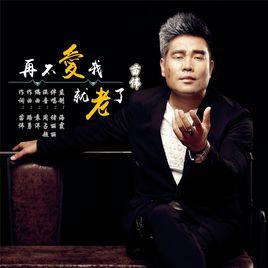 再不愛我就老了 再不愛我就老了