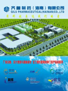 齊魯製藥(海南)有限公司 齊魯製藥(海南)有限公司