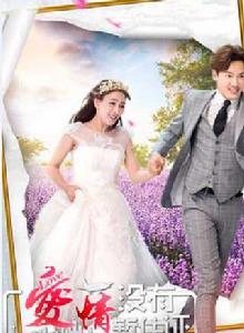 愛情沒有暫住證 愛情沒有暫住證