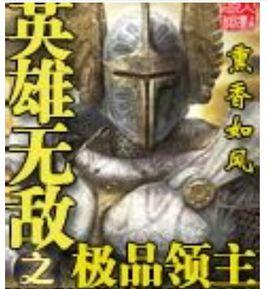 英雄無敵之極品領主 英雄無敵之極品領主