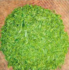 松蘿嫩毫 松蘿嫩毫