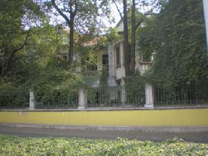 陶村林場 陶村林場