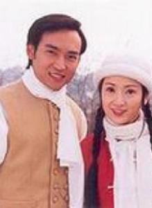 新鴛鴦蝴蝶夢[焦恩俊主演電視劇]