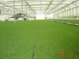 武漢農業生態園