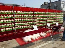 定遠能仁寺廟會