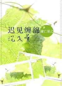 遲見纏綿沉入骨 遲見纏綿沉入骨