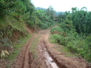 上岔河村 上岔河村