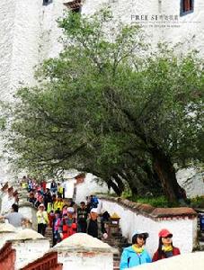 故鄉在遠方 故鄉在遠方