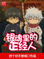 銀魂里的正經人 銀魂里的正經人