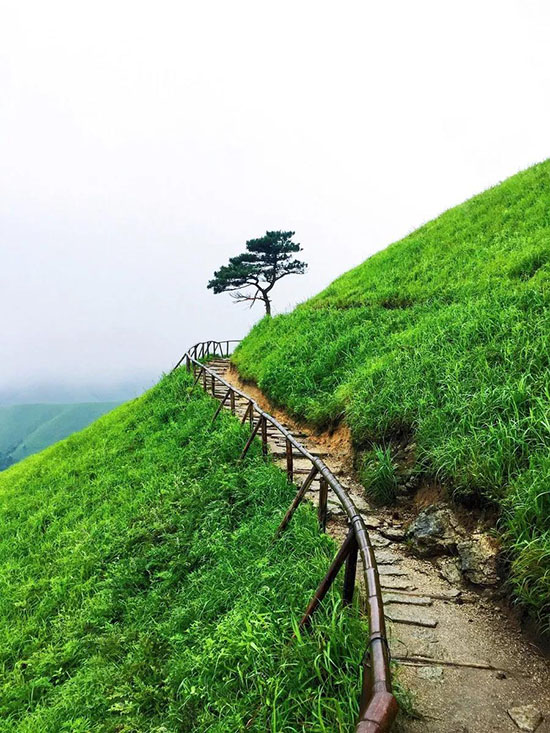 據說90%的人,都抵擋不住這20個地方的誘惑!