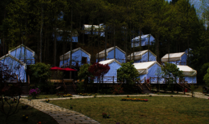 坪壩營原生態休閒旅遊區 坪壩營原生態休閒旅遊區