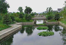 義烏濕地公園 義烏濕地公園