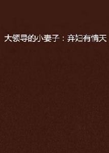 大領導的小妻子:棄婦有情天 大領導的小妻子:棄婦有情天