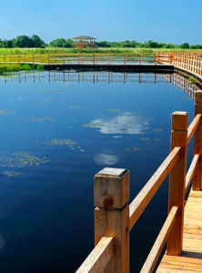 黑瞎子島 黑瞎子島