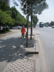 中海城一期 中海城一期