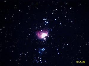 （圖）獵戶星雲