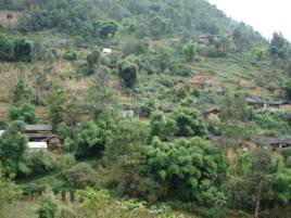 水井村[雲南省尋甸縣六哨鄉下轄村]
