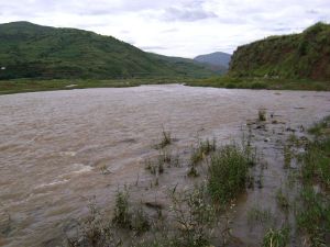 百戶營村 百戶營村