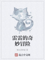 雷雷的奇妙冒險 雷雷的奇妙冒險