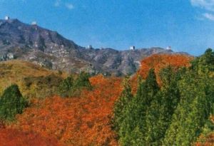 五座樓森林公園